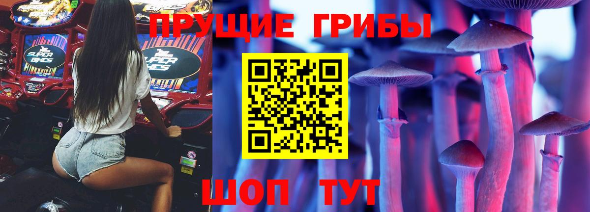 Галлюциногенные грибы GOLDEN TEACHER Йошкар-Ола